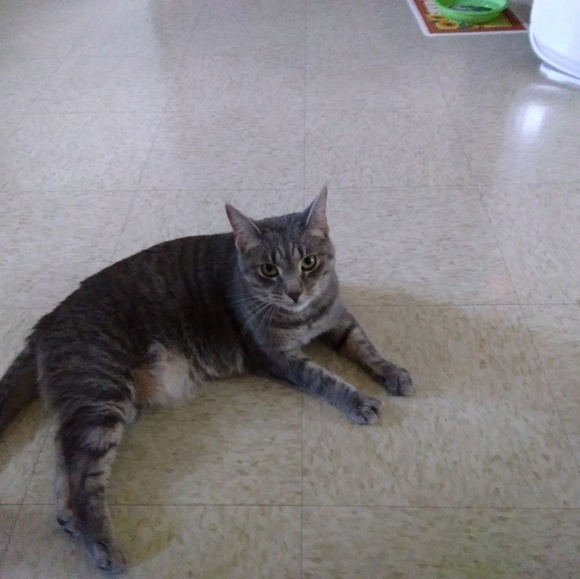 Meet your Posher, Judy - Picture 1 of 1